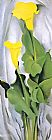 Georgia O'Keeffe Yellow Calla Lily painting